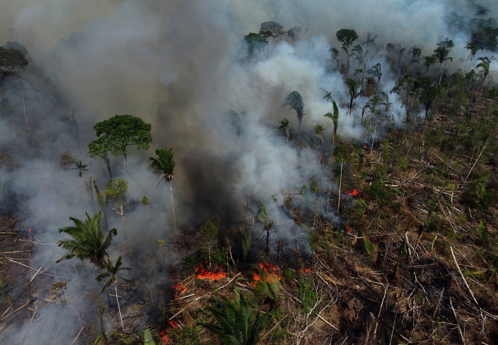 Why The Amazon Rainforest Is So Important To The Planet | Science ...