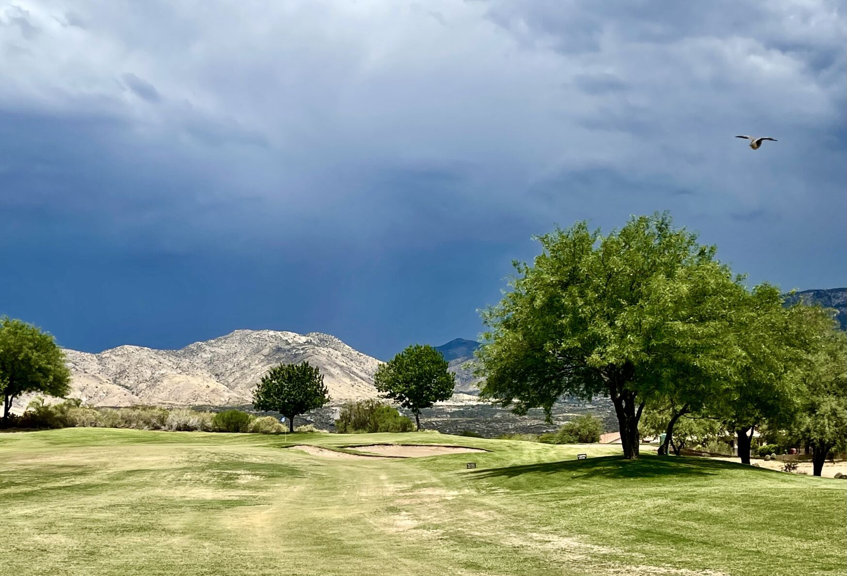 Photo---2022-Tucson-golf-course-.jpg