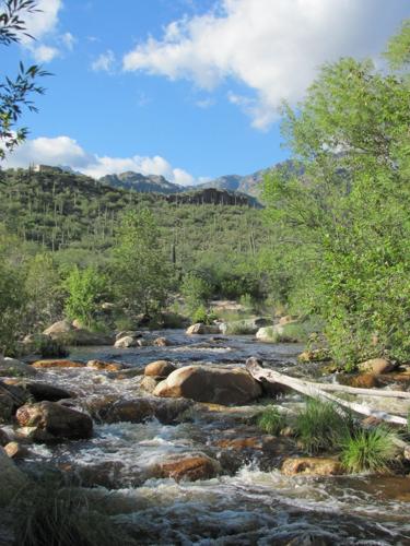 Sabino Creek in vibrant flow