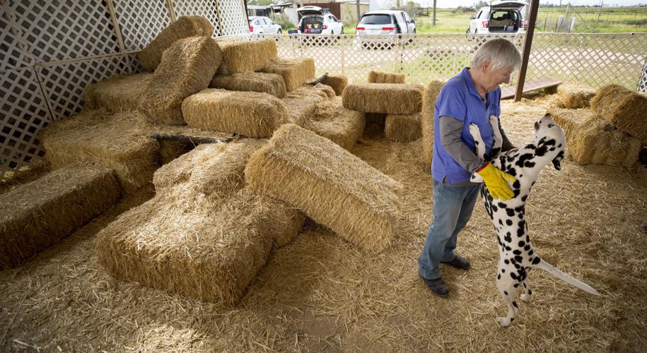 Barn Hunt Casa Grande