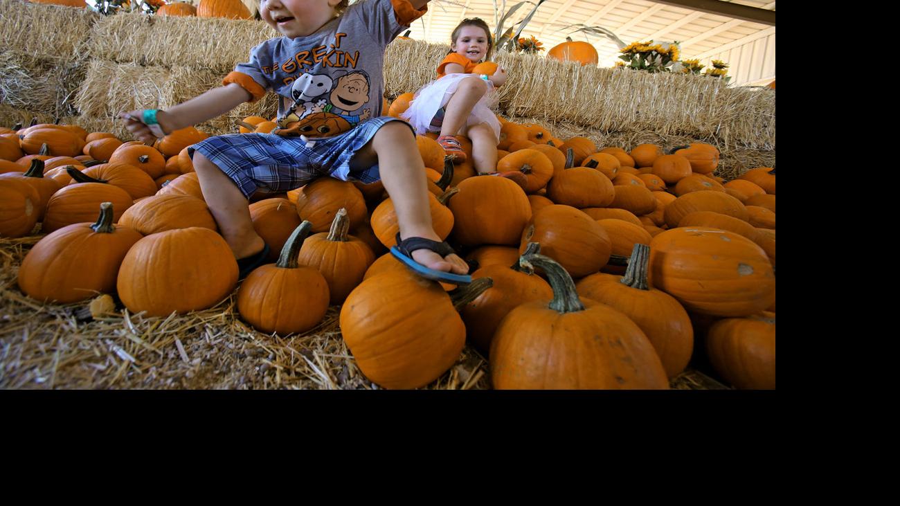 Photos Marana Pumpkin Patch and Farm Festival