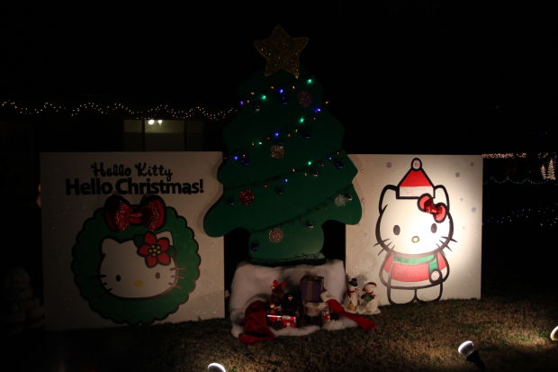 Winterhaven Festival of Lights 2013