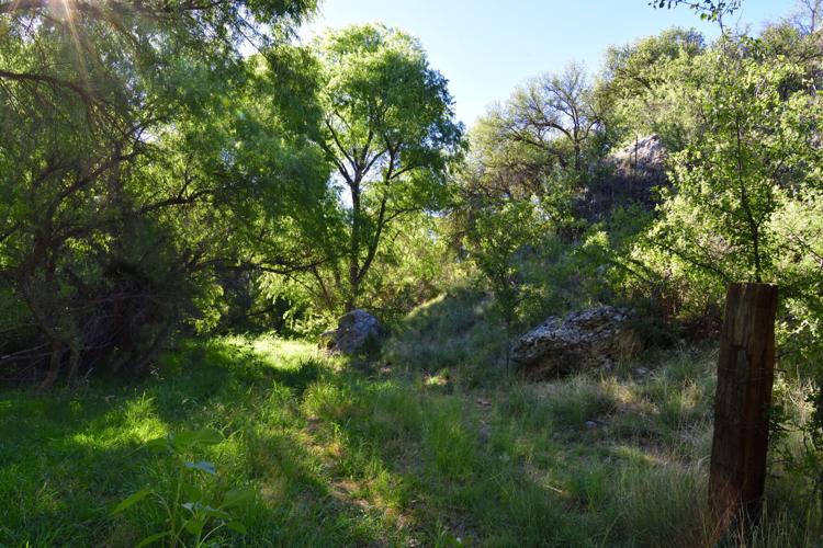 Cottonwood Springs