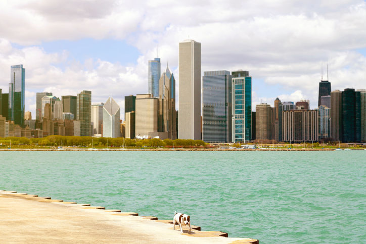 #10: Chicago, Illinois