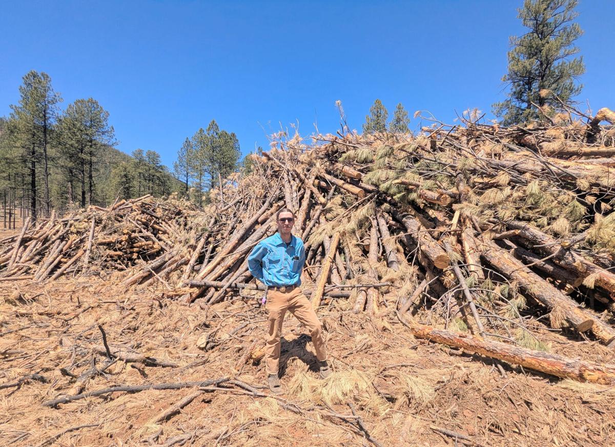 New tech could squeeze wildfire risk, carbon from forest debris