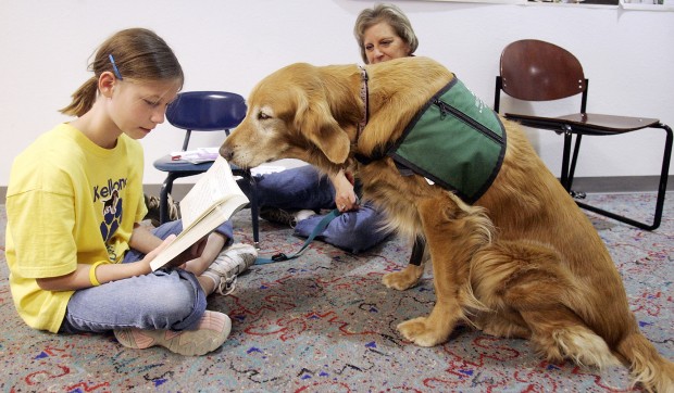 Dogs are nonjudgmental listeners to kids practicing reading skills   
