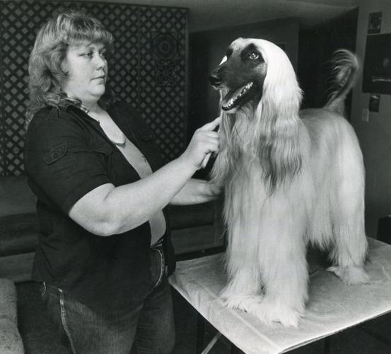 Getting groomed (1986)