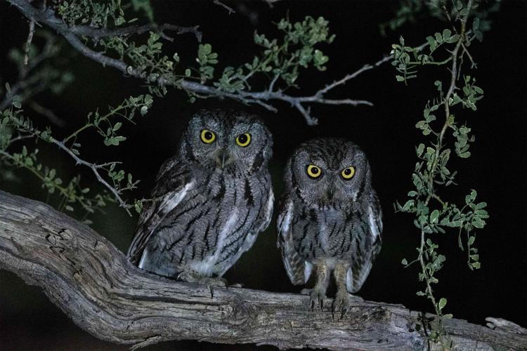 2022 Adventures in Nature photo contest