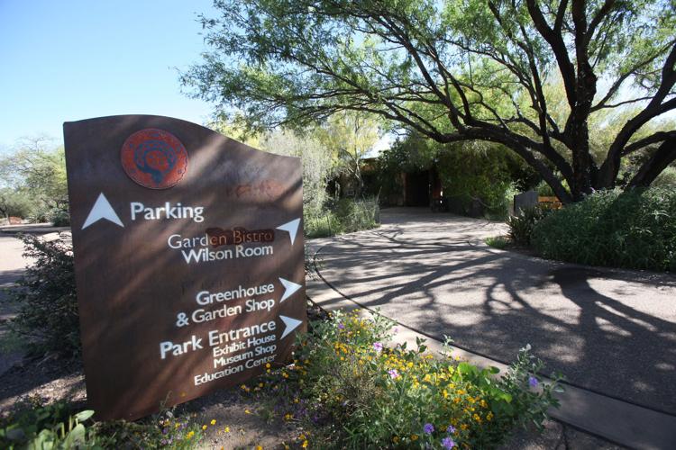 Tohono Chul Park