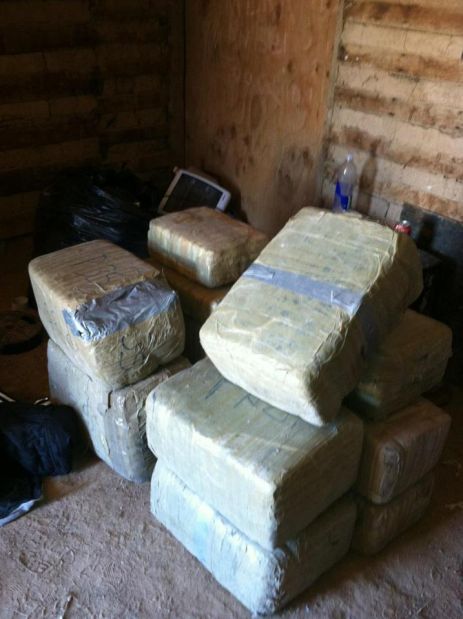 Border Busts