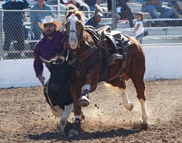 Tucson Rodeo action