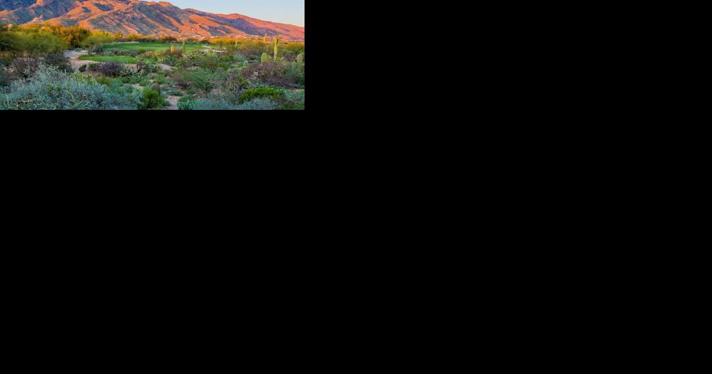 Business awards earned in Tucson and Southern Arizona - Vimarsana News
