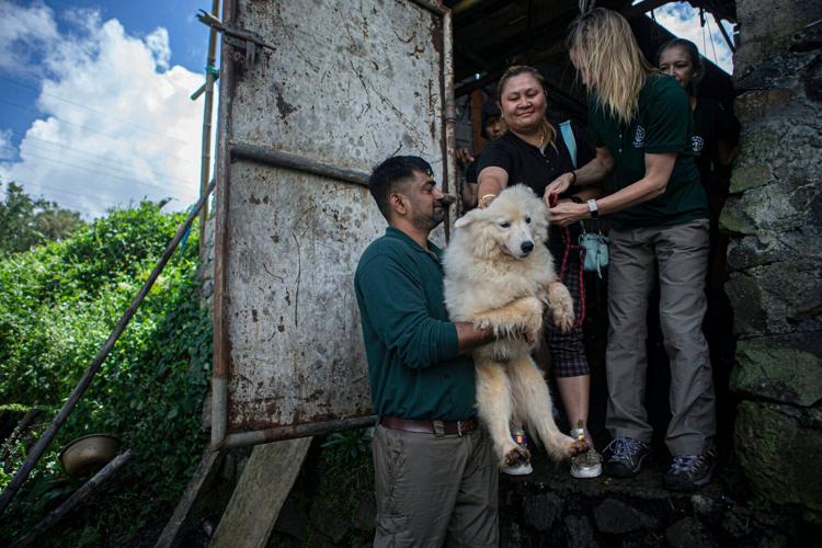 Indonesia Dog Meat Trade