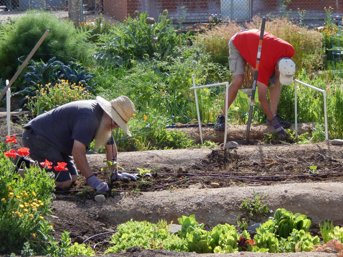 Starting A Community Garden How These Tucson Neighborhoods Did It