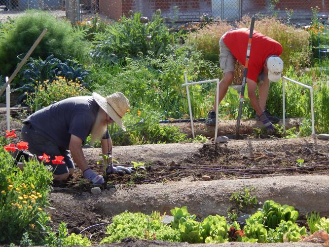 Rincon Heights Community Garden