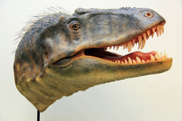New dinosaur discovered in southern Utah