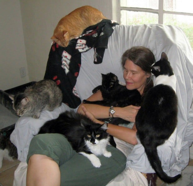 Cats and Jammers event to help shelter    