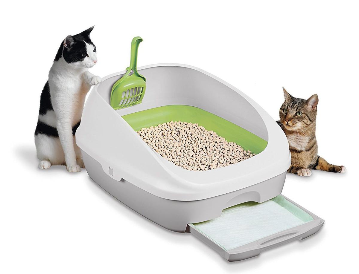 The best odor-free cat litter boxes