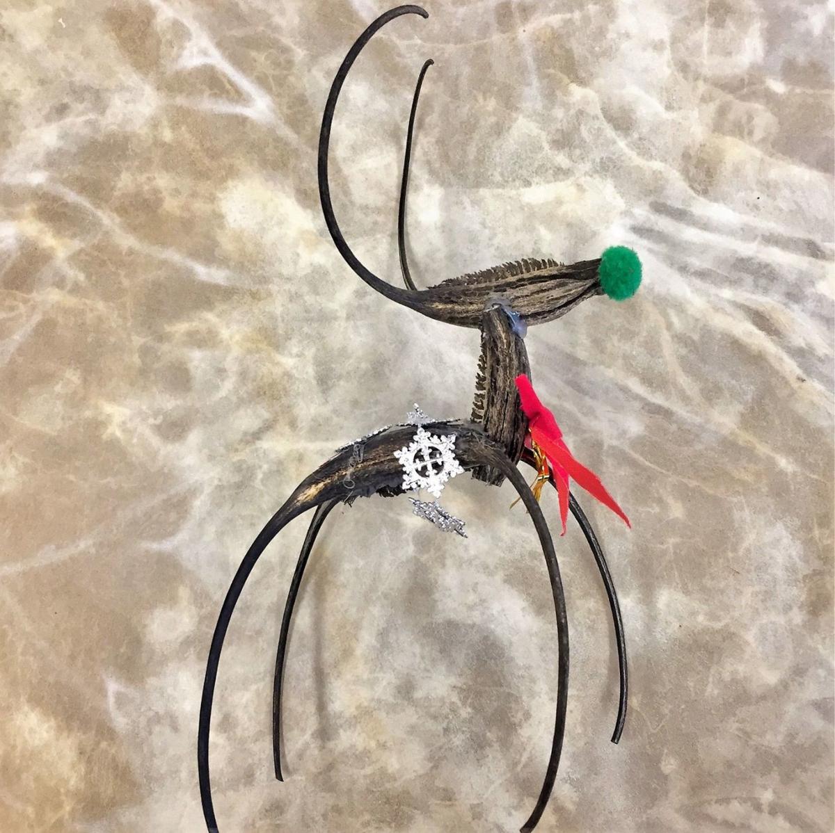 Make Christmas Ornaments from Gourds, Pods and Devil's Claw