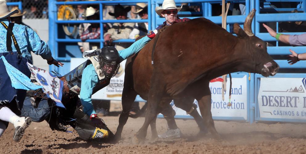 Tucson Rodeo Saturday