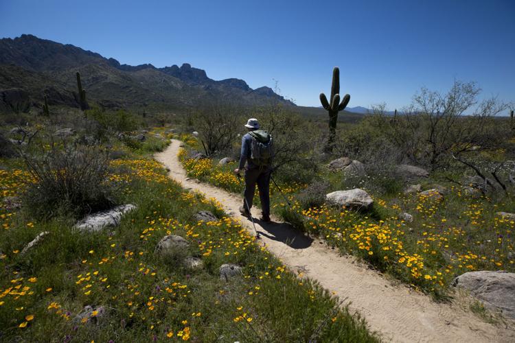 Catalina State Park