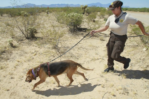 Prison hounds are on job when folks are on the lam   