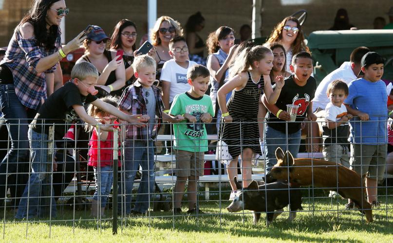 Marana Pumpkin Patch and Farm Festival