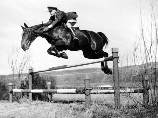 Bonnie Henry : Equestrian's life boots and saddles  