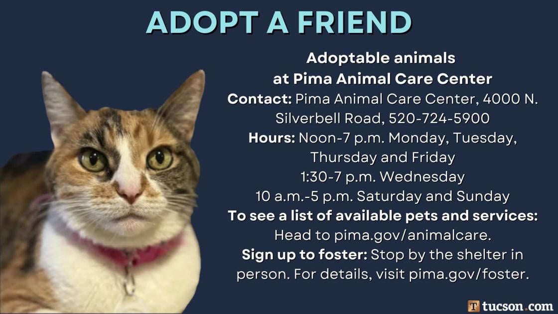 Adopt a friend: Local pets up for adoption for March 1