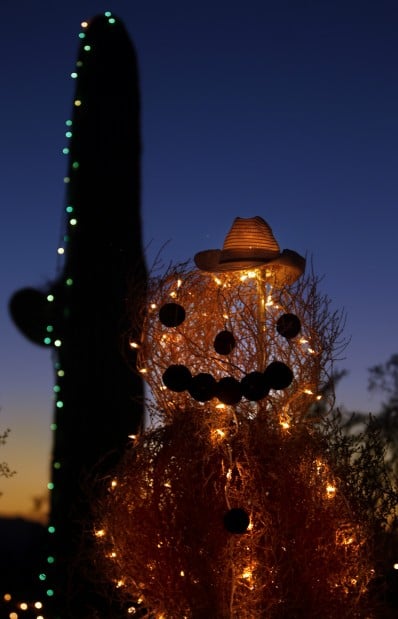 Tucson lights up the holidays