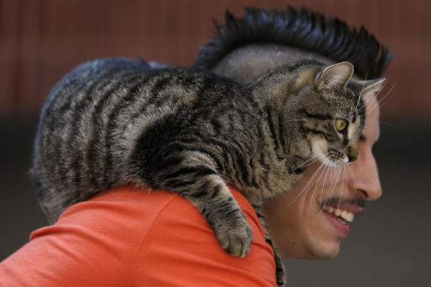 Animal shots of the week