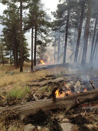 Wildfire continues to burn in Rincon Mountains