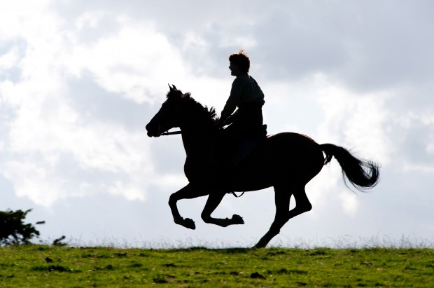 Spielberg's 'War Horse' rides in   