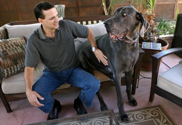Tallest dog George selling his life story   