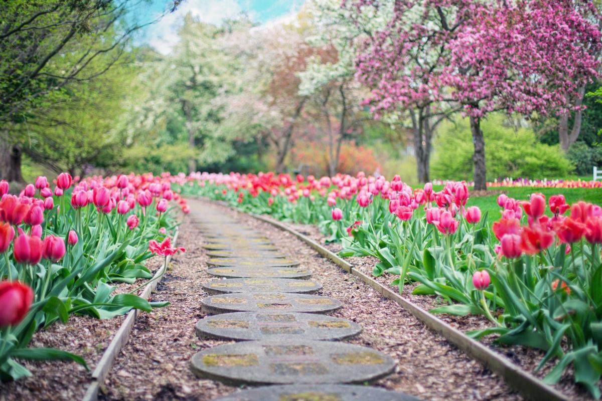 Choosing The Best Type Of Mulch For Your Flower Bed Home - Best Mulch For Garden Beds Choosing The Best Type Of Mulch For Your Flower Bed Home - Best Mulch For Garden Beds