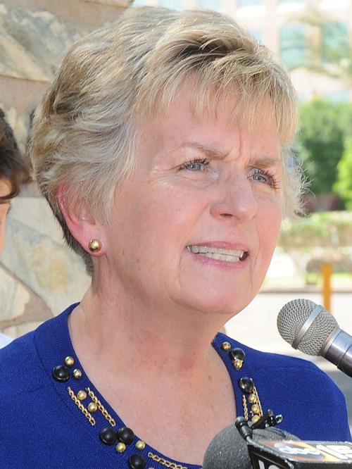 Sen. Kate Brophy McGee
