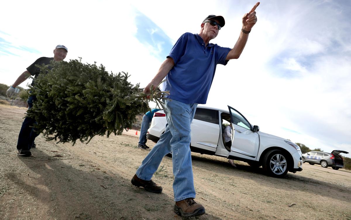 Where To Dispose Of Christmas Tree Tucson 2022 Christmas Tree Recycling Sites Open Until Jan. 17 | Local News | Tucson.com