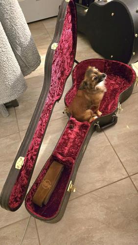 New member of the family