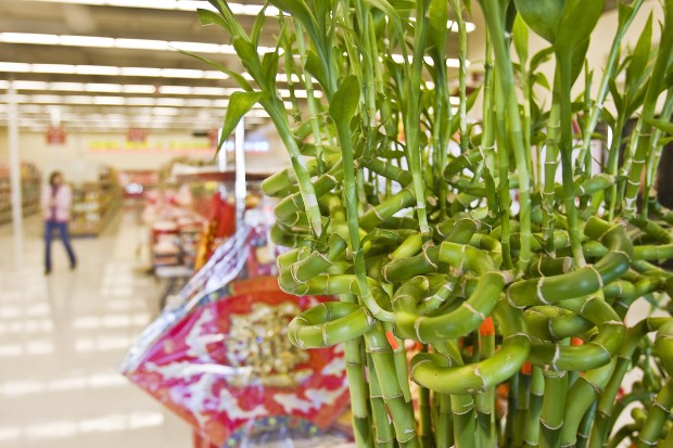 Food, drink, dancing welcome New Year   