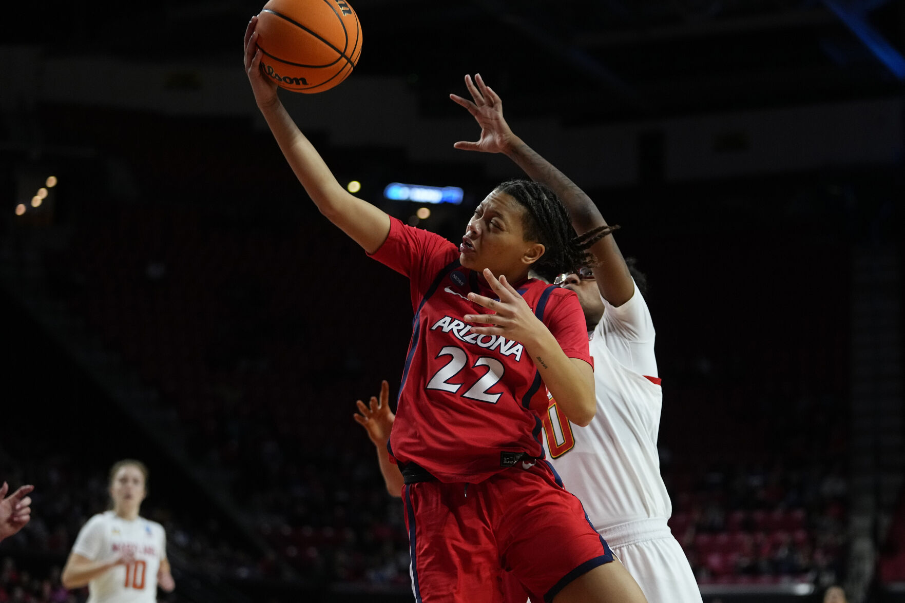 New era deals arizona wildcats