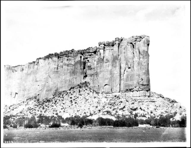 Ladies of the Canyon