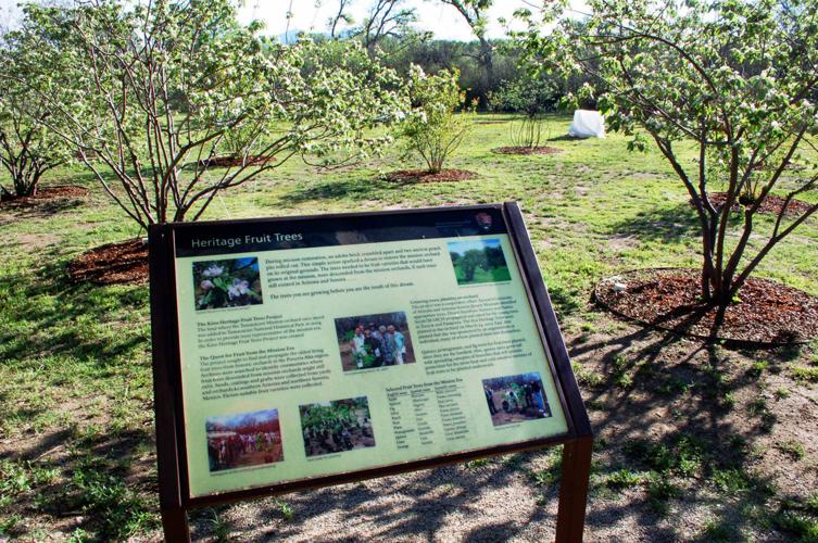 Tumacacori National Historical Park