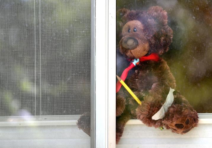 Sam Hughes Neighborhood