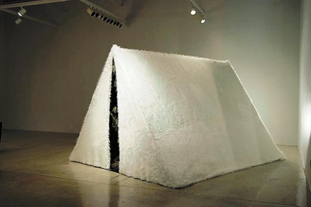 Arizona art contrasts  