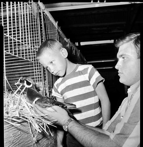 HISTORY OF FAIRS IN PIMA COUNTY   