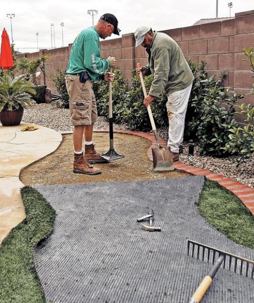 Fake grass taking firm root Environment