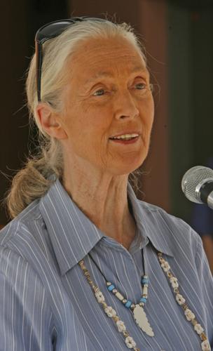 Jane Goodall in Tucson