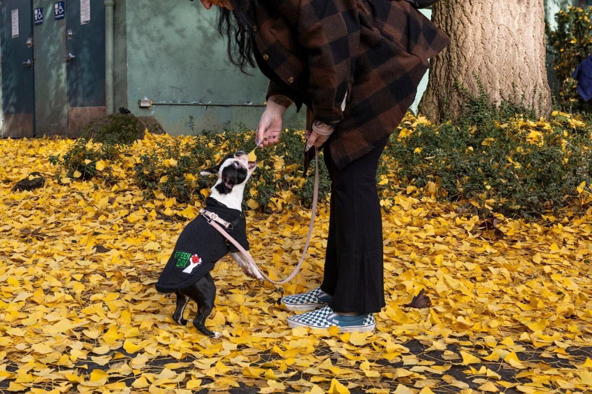 Homeless mothers seek supportive housing, substance use disorder services to break cycle