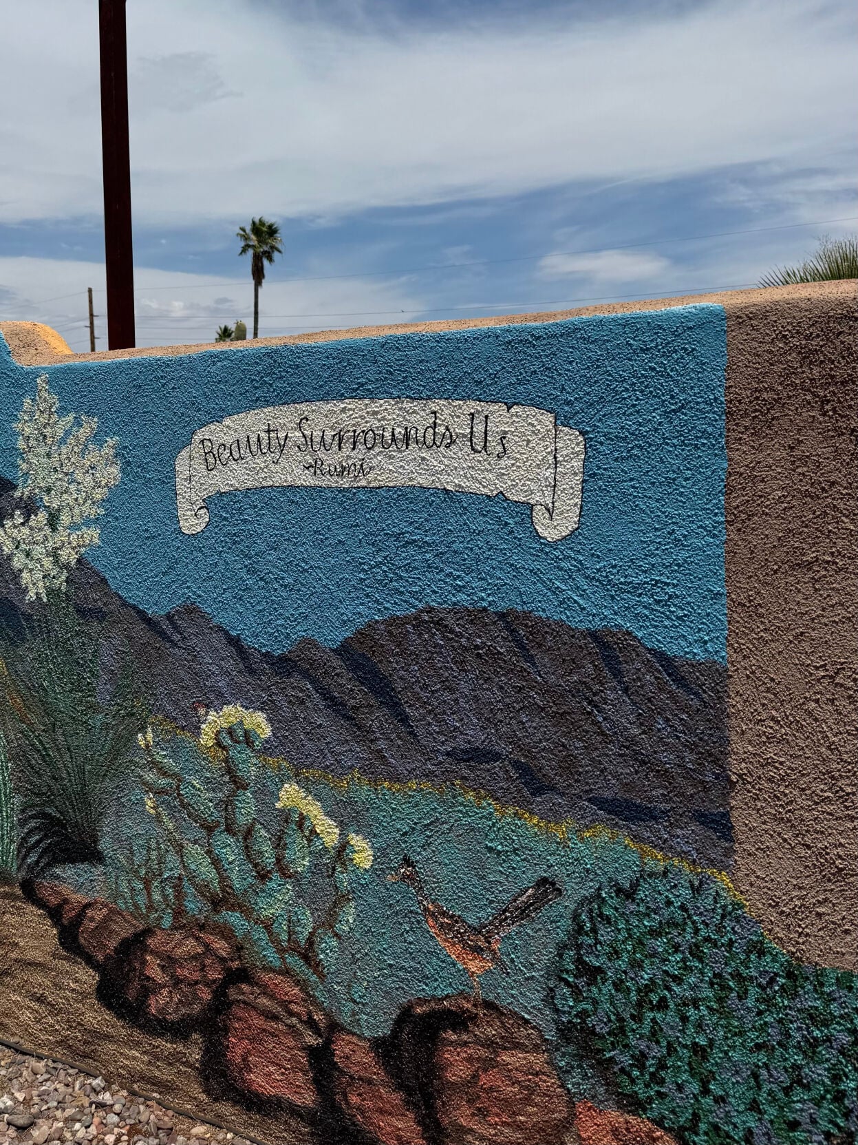 A mural outside the Tucson home of former Rep. Ron Barber, D-Arizona.