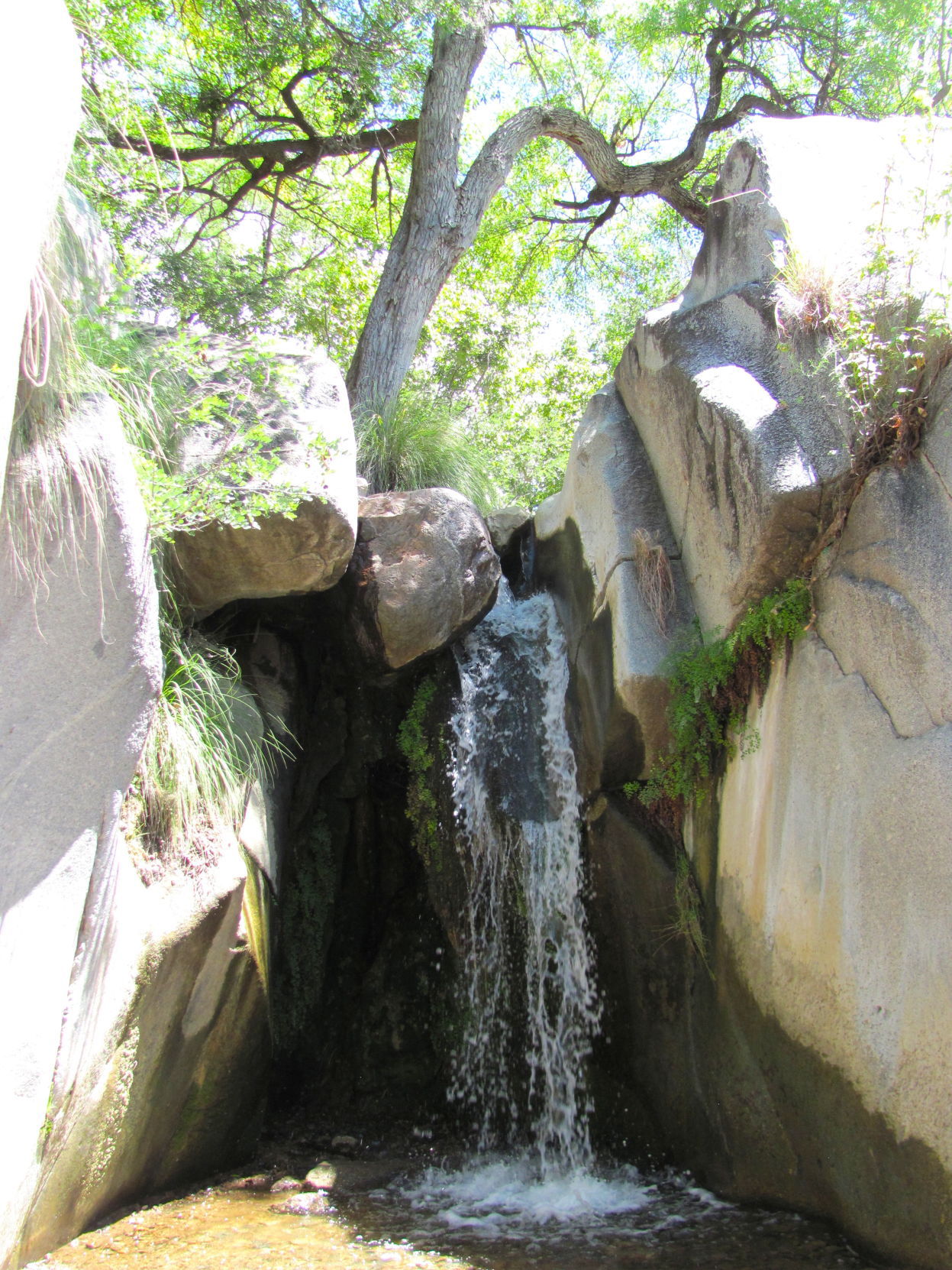 Madera Canyon Turns On Its Scenic Charms Hiking And Recreation   57b74385b397c.image 